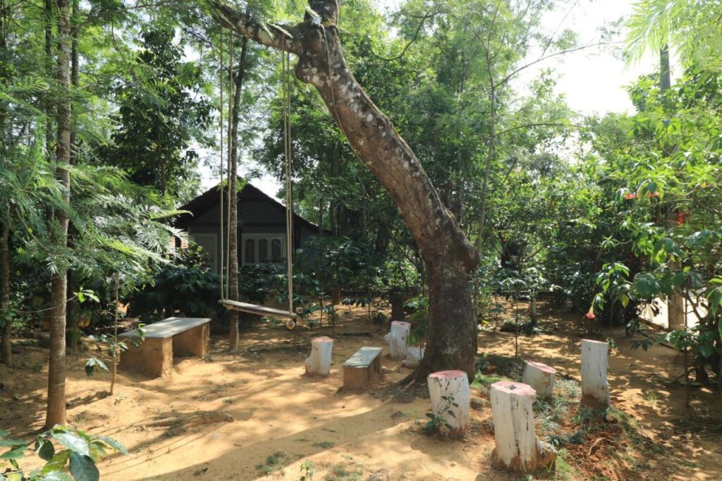 Best Resort in Madikeri