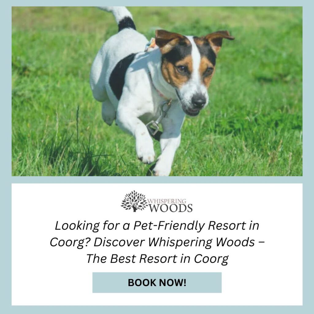 Pet-Friendly Resort in Coorg