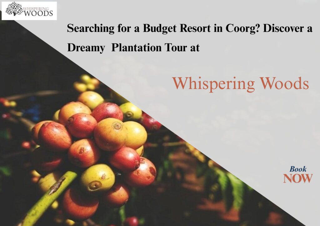 Best Budget Resort in Coorg